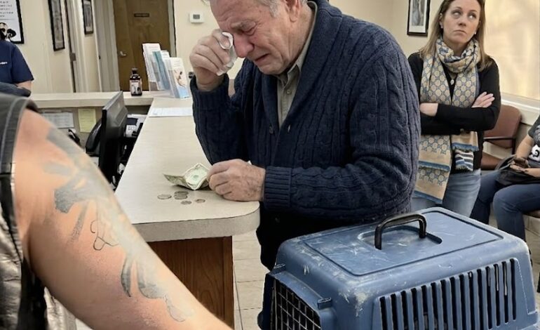 Un veterano, il suo gatto malato e la gentilezza che cambiò una città